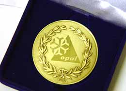 Image of Opal Medallion